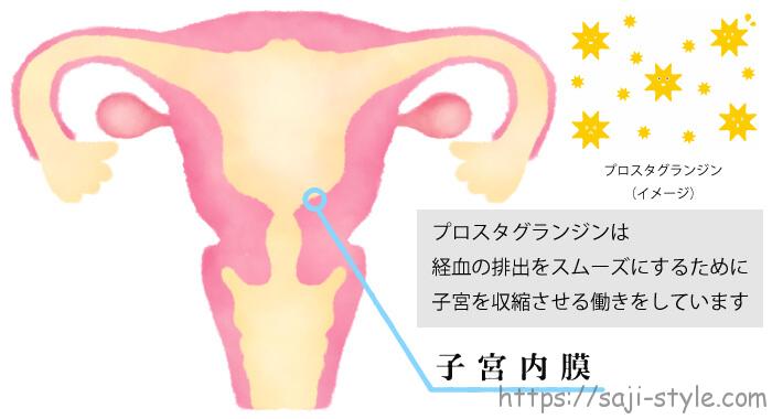 生理痛とプロスタグランジン